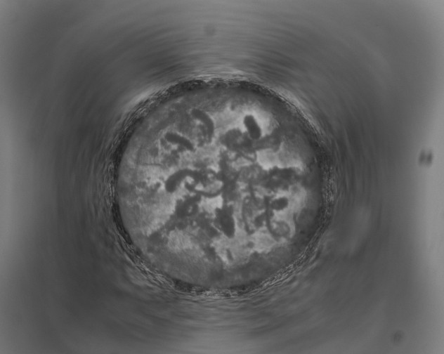 X0000097641063200803281118