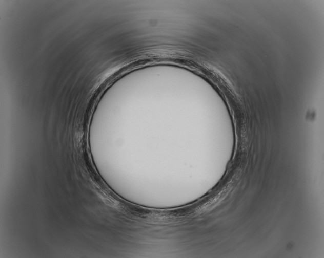 X0000097641065200803281118