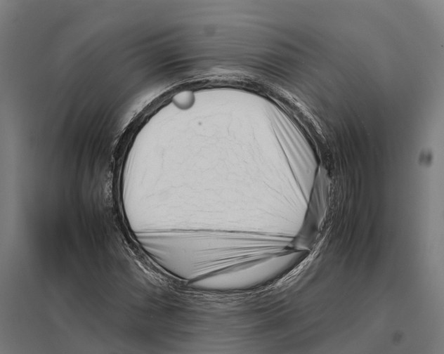 X0000097641066200803281118