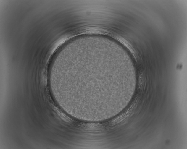 X0000097641067200803281118