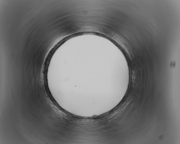 X0000097641068200803281118