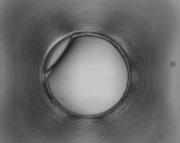 X0000097641069200803281118