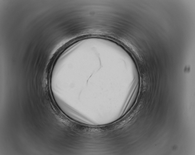 X0000097641070200803281118