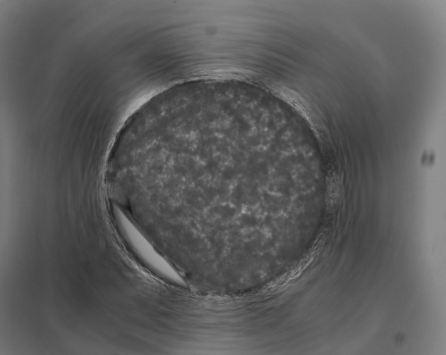 X0000097641071200803281118