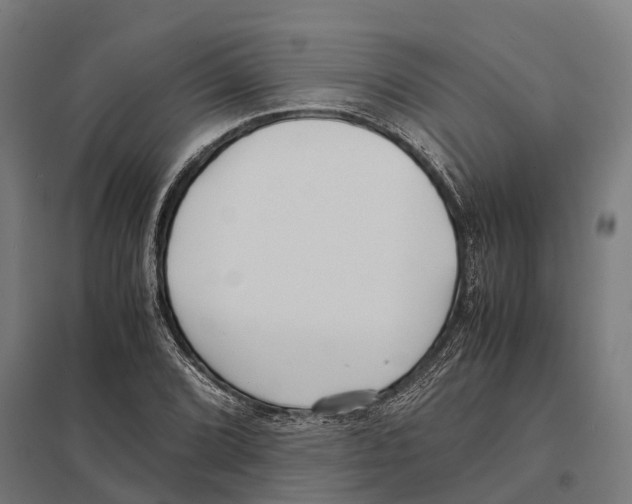 X0000097641072200803281118