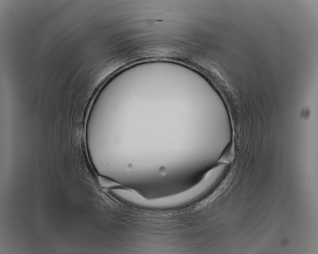 X0000097641073200803281118