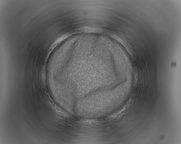 X0000097641074200803281118