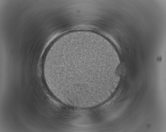 X0000097641075200803281118