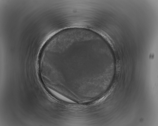 X0000097641077200803281118