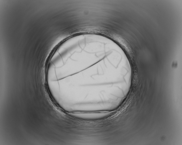 X0000097641079200803281118