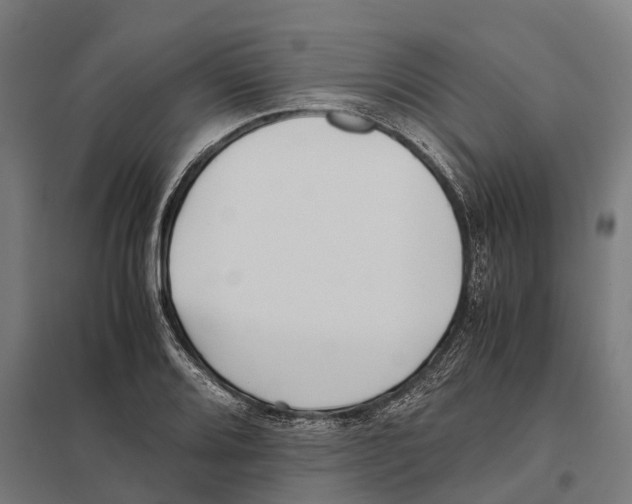 X0000097641080200803281118