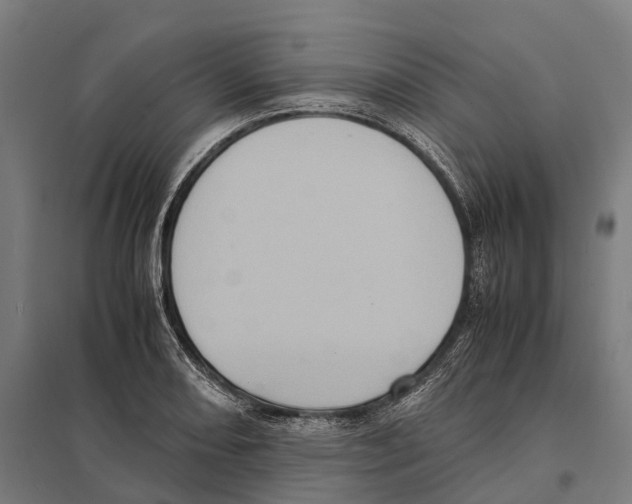 X0000097641082200803281118