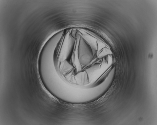 X0000097641084200803281118