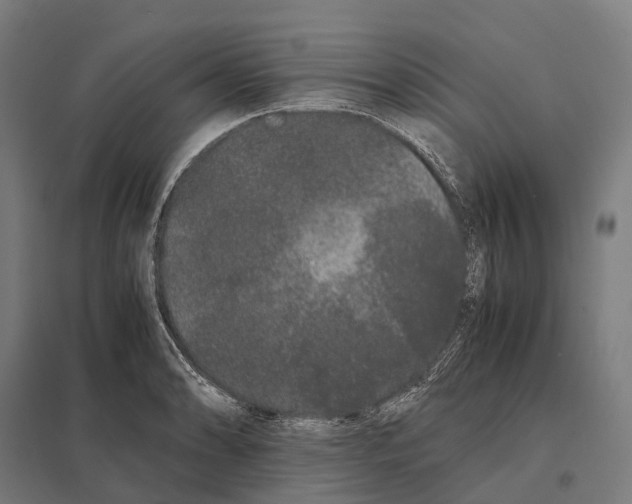 X0000097641086200803281118