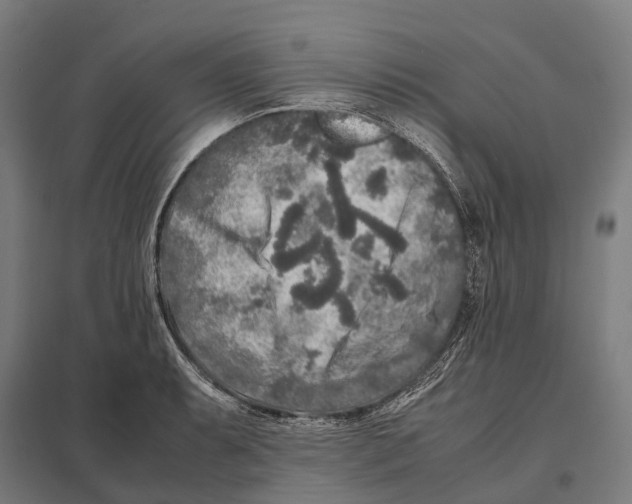 X0000097641087200803281118