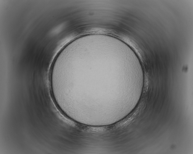 X0000097641090200803281118