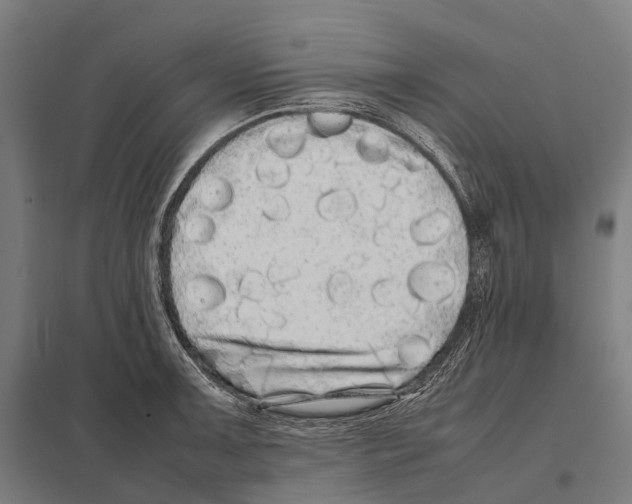 X0000097641091200803281118