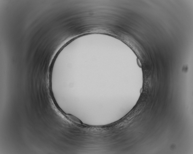 X0000097641092200803281118