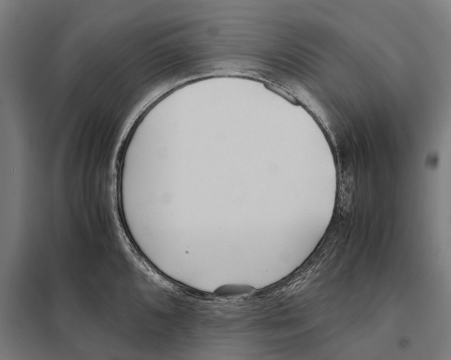 X0000097641096200803281117