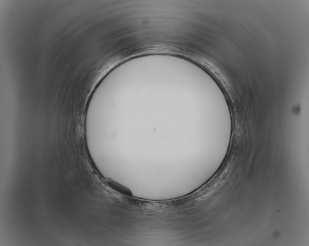 X0000097641097200803281117