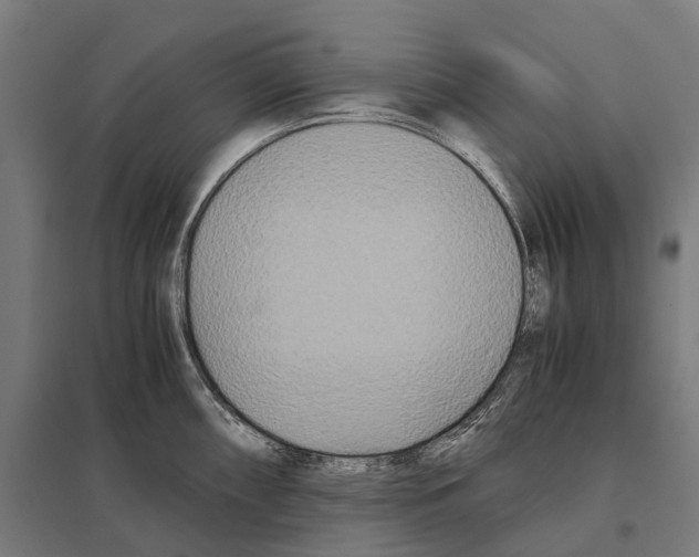 X0000097641098200803281117