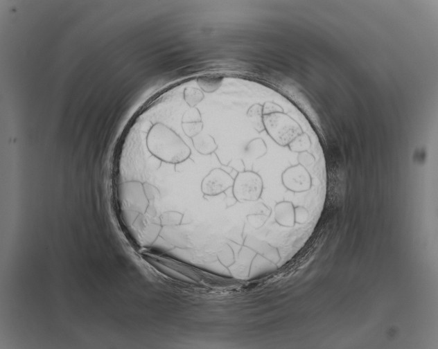 X0000097641099200803281117