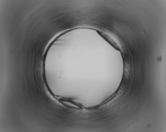 X0000097641100200803281117