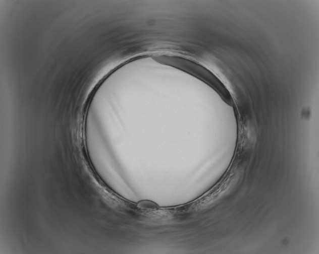 X0000097641101200803281117