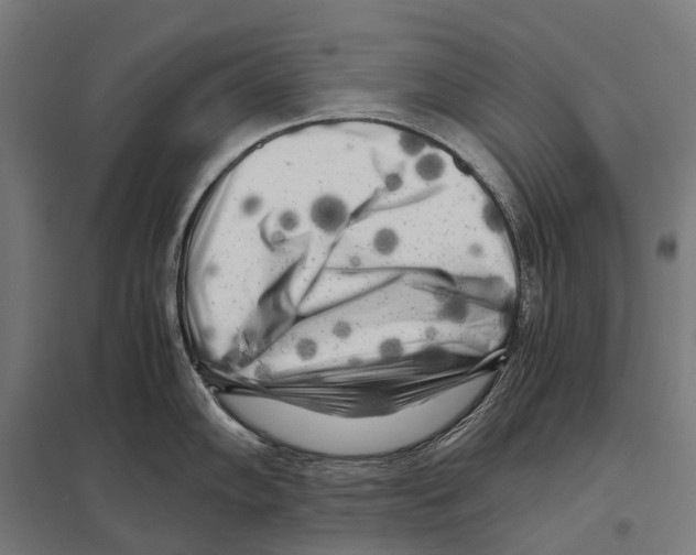 X0000097641102200803281117