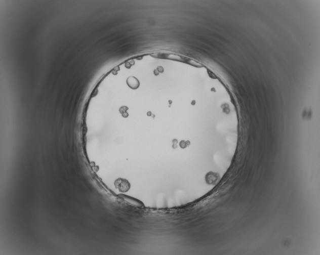 X0000097641104200803281117