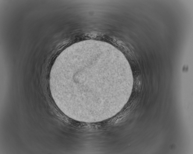 X0000097641105200803281117