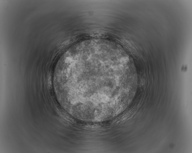 X0000097641106200803281117