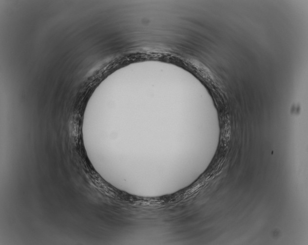 X0000097641110200803281117