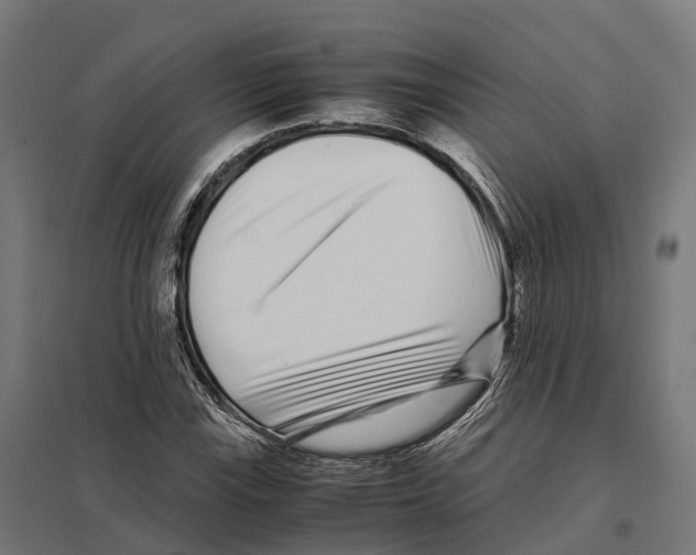 X0000097641115200803281117