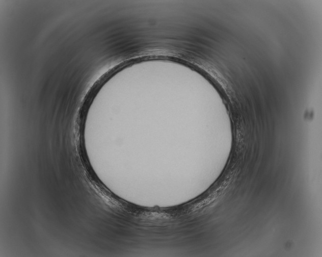 X0000097641119200803281117