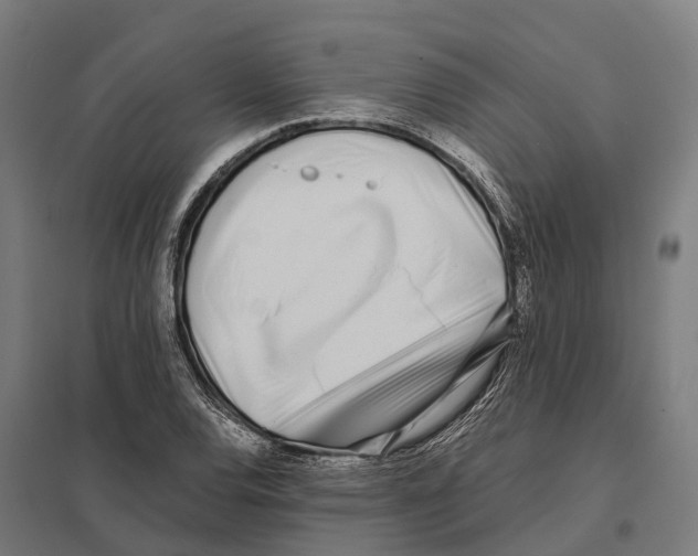 X0000097641120200803281117