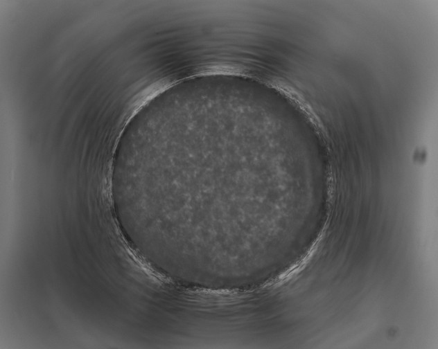 X0000097641121200803281117