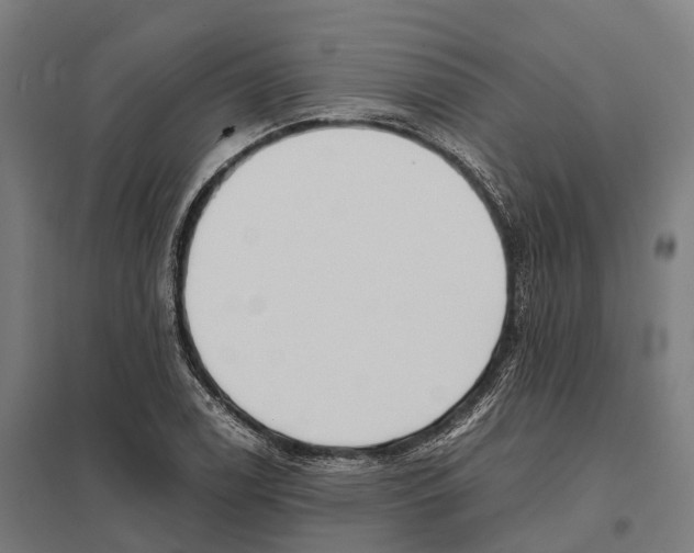 X0000097641122200803281117