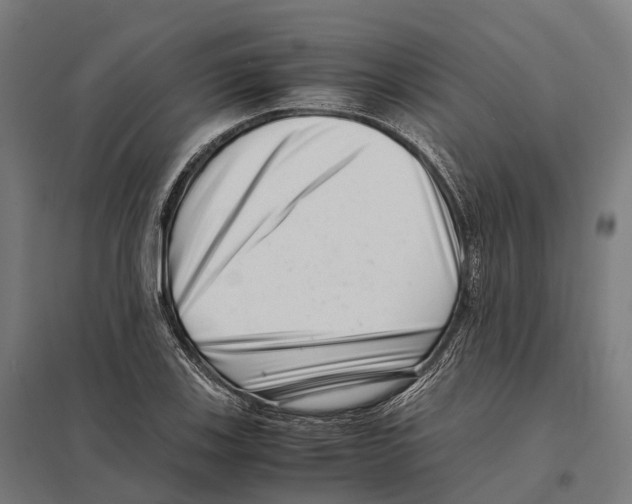 X0000097641123200803281117