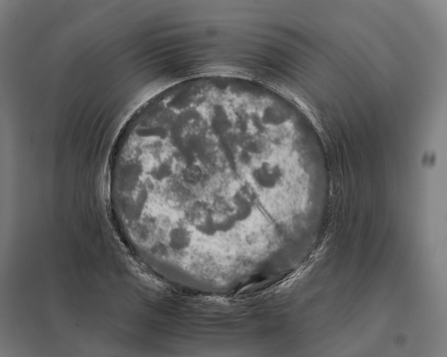 X0000097641125200803281117