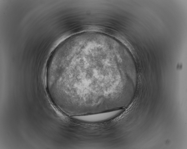 X0000097641127200803281117