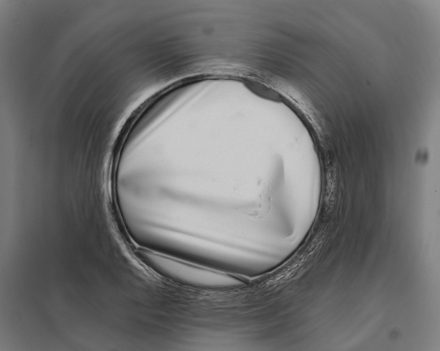 X0000097641128200803281117