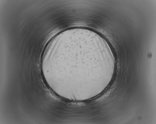 X0000097641129200803281117