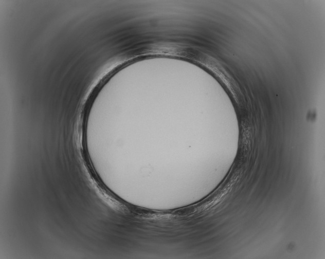 X0000097641131200803281117