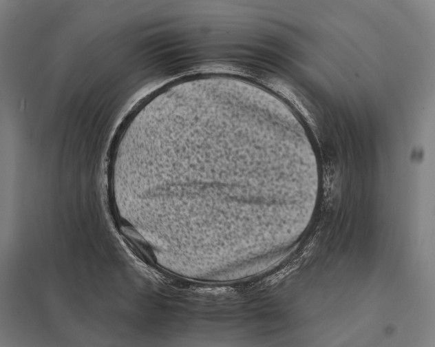 X0000097641133200803281117