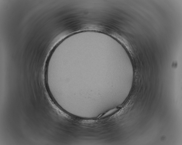 X0000097641135200803281117