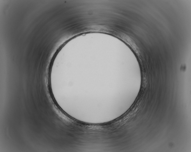 X0000097641136200803281117