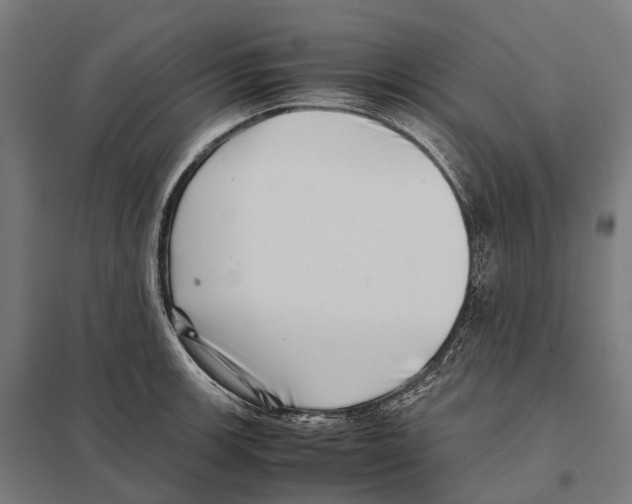 X0000097641139200803281117