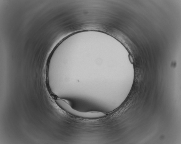 X0000097641140200803281117