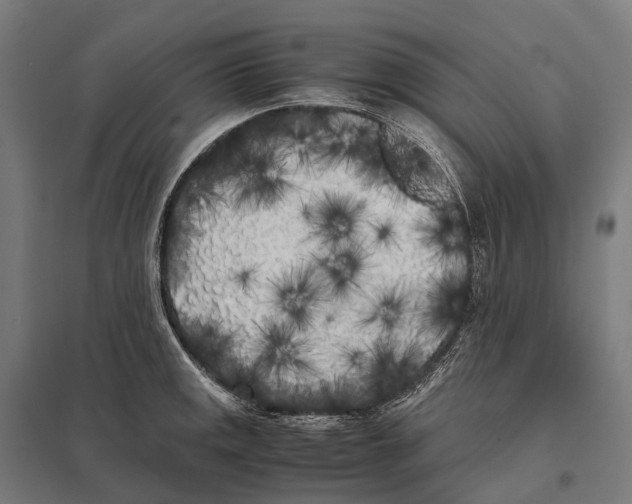 X0000097641141200803281117